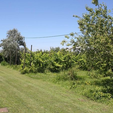 Tenuta Lio Maggiore Lido di Jesolo Zewnętrze zdjęcie