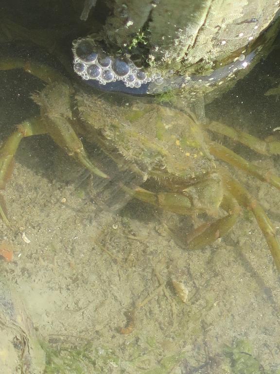 Tenuta Lio Maggiore Lido di Jesolo Zewnętrze zdjęcie