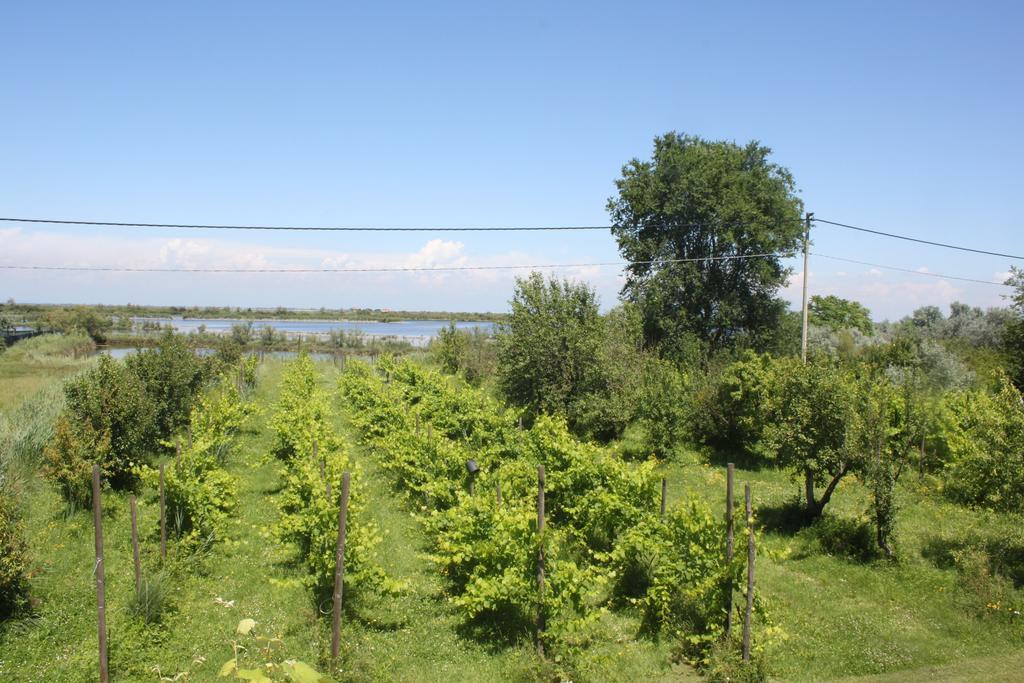 Tenuta Lio Maggiore Lido di Jesolo Zewnętrze zdjęcie