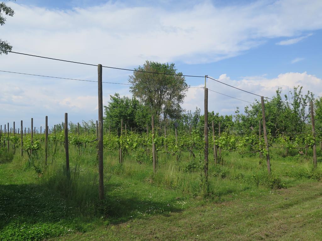 Tenuta Lio Maggiore Lido di Jesolo Zewnętrze zdjęcie